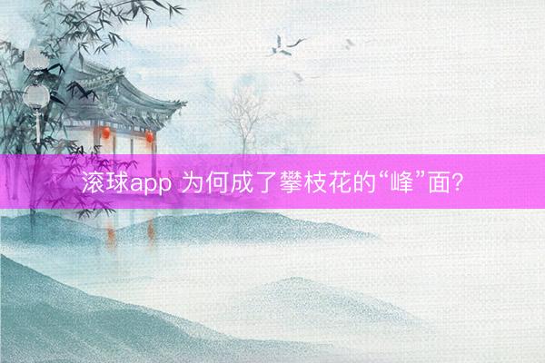 滚球app 为何成了攀枝花的“峰”面？