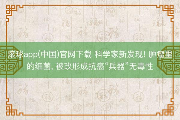 滚球app(中国)官网下载 科学家新发现! 肿瘤里的细菌, 被改形成抗癌“兵器”无毒性