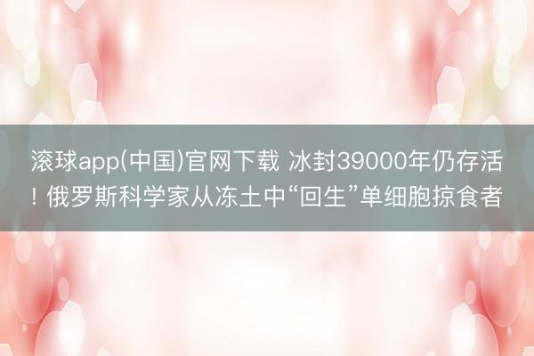 滚球app(中国)官网下载 冰封39000年仍存活! 俄罗斯科学家从冻土中“回生”单细胞掠食者