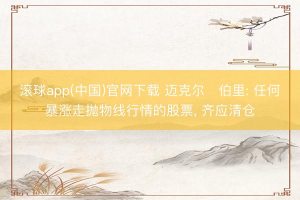 滚球app(中国)官网下载 迈克尔・伯里: 任何暴涨走抛物线行情的股票， 齐应清仓