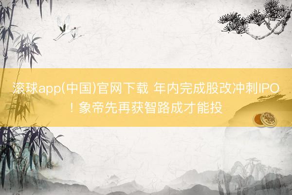 滚球app(中国)官网下载 年内完成股改冲刺IPO! 象帝先再获智路成才能投