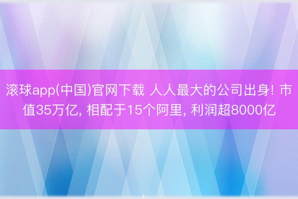 滚球app(中国)官网下载 人人最大的公司出身! 市值35万亿， 相配于15个阿里， 利润超8000亿