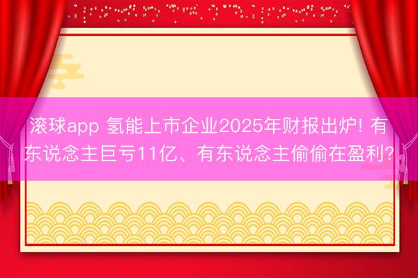 滚球app 氢能上市企业2025年财报出炉! 有东说念主巨亏11亿、有东说念主偷偷在盈利?