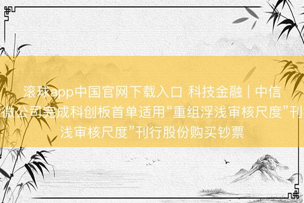 滚球app中国官网下载入口 科技金融 | 中信证券独家助力中微公司完成科创板首单适用“重组浮浅审核尺度”刊行股份购买钞票