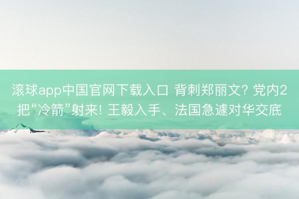 滚球app中国官网下载入口 背刺郑丽文? 党内2把“冷箭”射来! 王毅入手、法国急遽对华交底