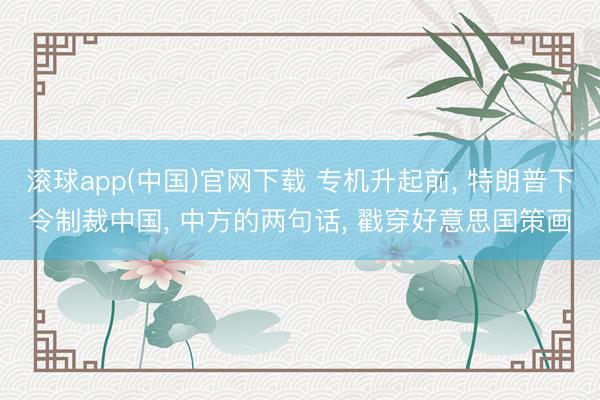 滚球app(中国)官网下载 专机升起前， 特朗普下令制裁中国， 中方的两句话， 戳穿好意思国策画