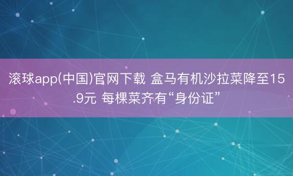 滚球app(中国)官网下载 盒马有机沙拉菜降至15.9元 每棵菜齐有“身份证”