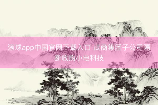 滚球app中国官网下载入口 武商集团子公司隔断收购小电科技