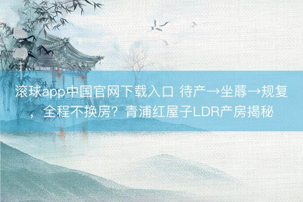 滚球app中国官网下载入口 待产→坐蓐→规复，全程不换房？青浦红屋子LDR产房揭秘