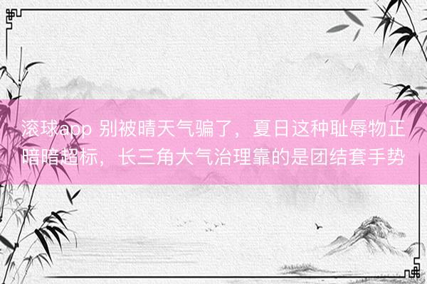 滚球app 别被晴天气骗了，夏日这种耻辱物正暗暗超标，长三角大气治理靠的是团结套手势