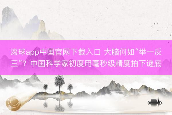 滚球app中国官网下载入口 大脑何如“举一反三”？中国科学家初度用毫秒级精度拍下谜底