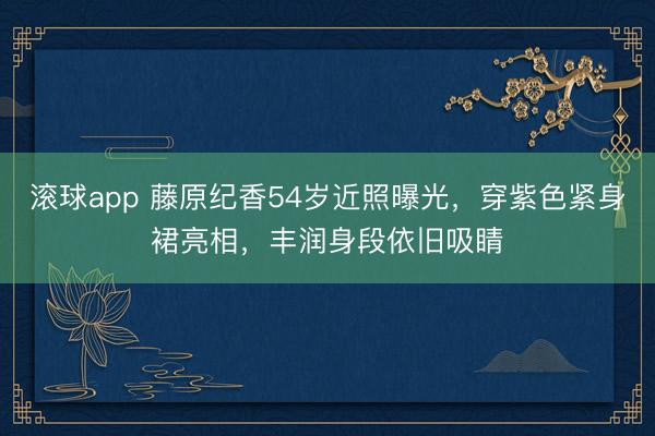 滚球app 藤原纪香54岁近照曝光，穿紫色紧身裙亮相，丰润身段依旧吸睛