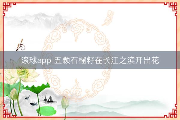 滚球app 五颗石榴籽在长江之滨开出花
