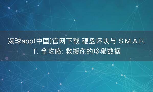滚球app(中国)官网下载 硬盘坏块与 S.M.A.R.T. 全攻略: 救援你的珍稀数据