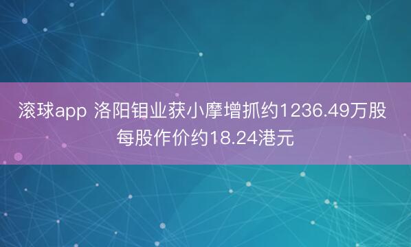 滚球app 洛阳钼业获小摩增抓约1236.49万股 每股作价约18.24港元