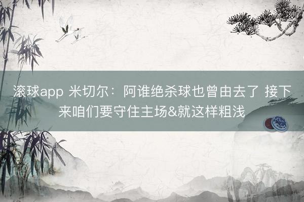滚球app 米切尔：阿谁绝杀球也曾由去了 接下来咱们要守住主场&就这样粗浅
