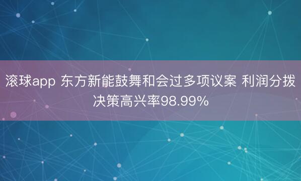 滚球app 东方新能鼓舞和会过多项议案 利润分拨决策高兴率98.99%