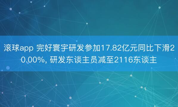 滚球app 完好寰宇研发参加17.82亿元同比下滑20.00%, 研发东谈主员减至2