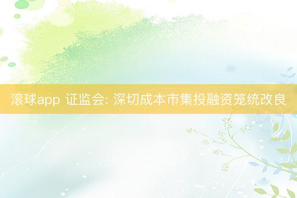 滚球app 证监会: 深切成本市集投融资笼统改良