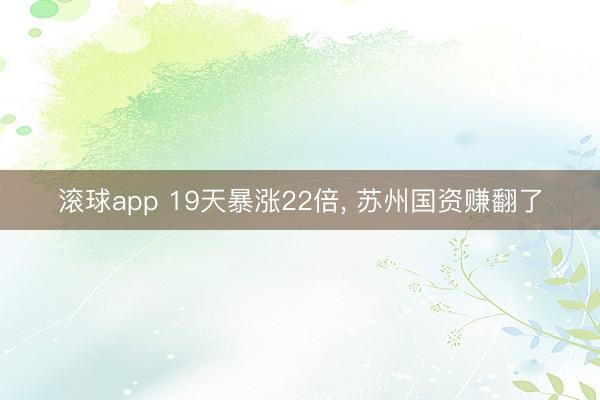 滚球app 19天暴涨22倍, 苏州国资赚翻了