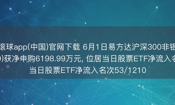 滚球app(中国)官网下载 6月1日易方达沪深300非银ETF(512070)获净申购6198.99万元, 位居当日股票ETF净流入名次53/1210
