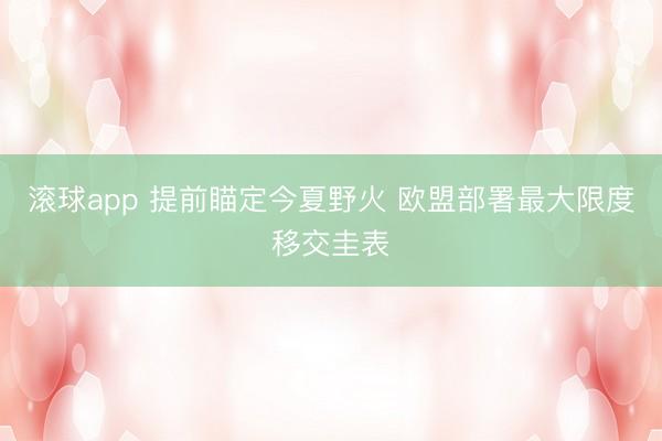 滚球app 提前瞄定今夏野火 欧盟部署最大限度移交圭表