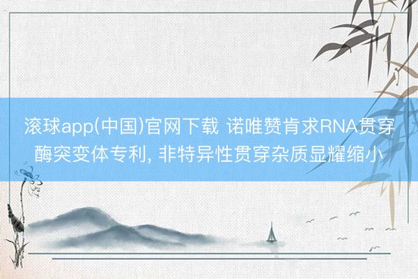 滚球app(中国)官网下载 诺唯赞肯求RNA贯穿酶突变体专利， 非特异性贯穿杂质显耀缩小