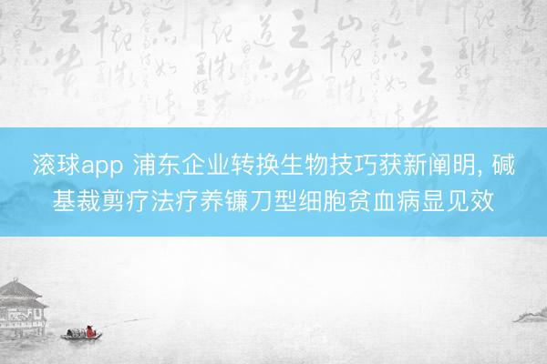 滚球app 浦东企业转换生物技巧获新阐明， 碱基裁剪疗法疗养镰刀型细胞贫血病显见效