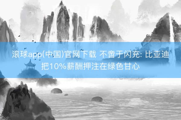滚球app(中国)官网下载 不啻于闪充: 比亚迪把10%薪酬押注在绿色甘心