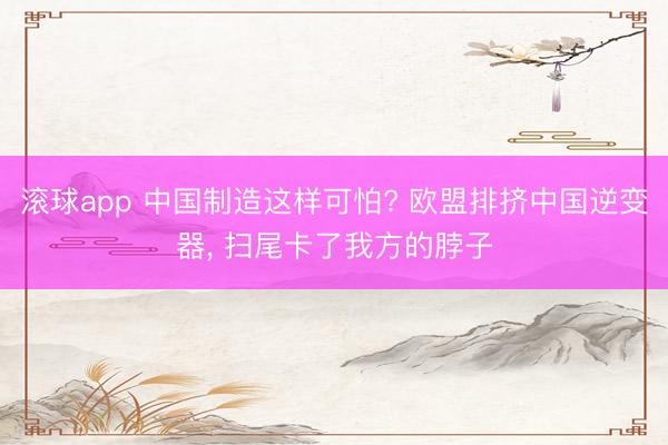 滚球app 中国制造这样可怕? 欧盟排挤中国逆变器, 扫尾卡了我方的脖子