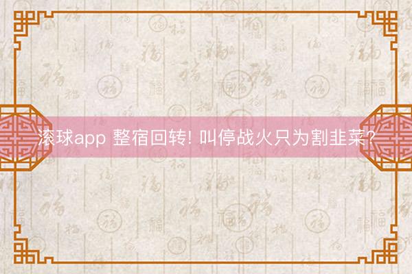 滚球app 整宿回转! 叫停战火只为割韭菜?