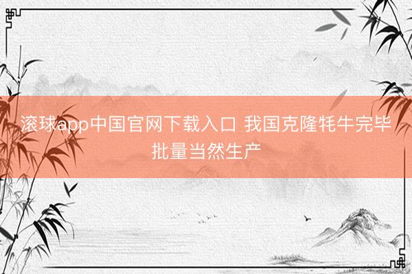 滚球app中国官网下载入口 我国克隆牦牛完毕批量当然生产