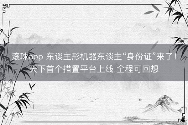 滚球app 东谈主形机器东谈主“身份证”来了!天下首个措置平台上线 全程可回想