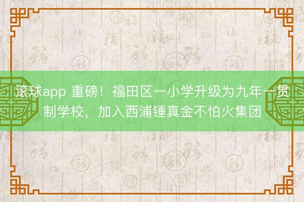 滚球app 重磅！福田区一小学升级为九年一贯制学校，加入西浦锤真金不怕火集团