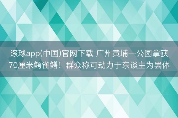 滚球app(中国)官网下载 广州黄埔一公园拿获70厘米鳄雀鳝！群众称可动力于东谈主为罢休