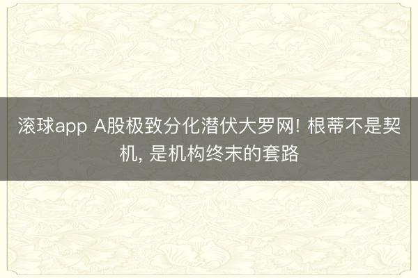 滚球app A股极致分化潜伏大罗网! 根蒂不是契机， 是机构终末的套路