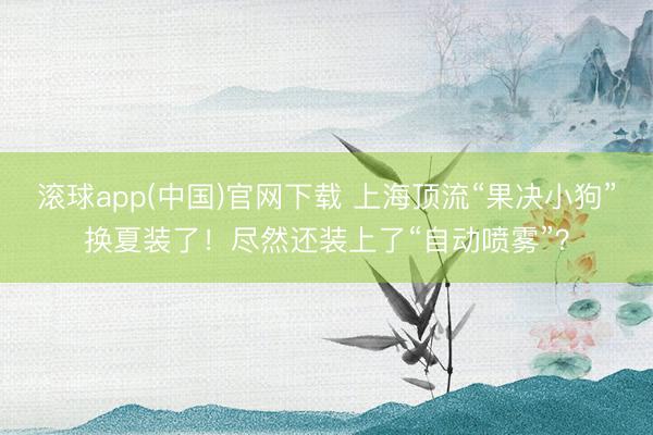 滚球app(中国)官网下载 上海顶流“果决小狗”换夏装了！尽然还装上了“自动喷雾”？